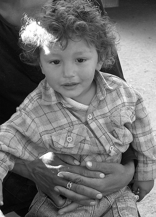 felix_alvito2007.jpg