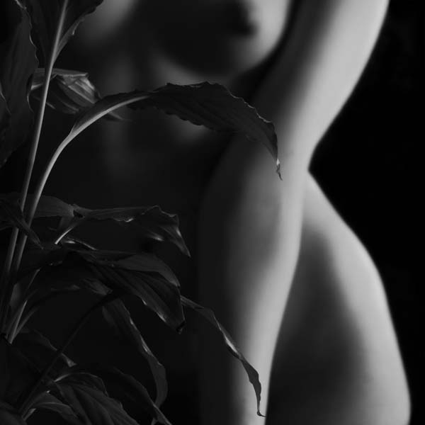 Lively softly foto Cristina Pascu