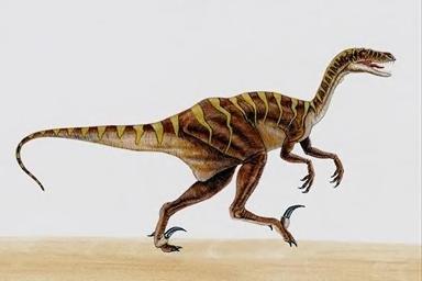 fotos-de-dinossauro-carnivoro