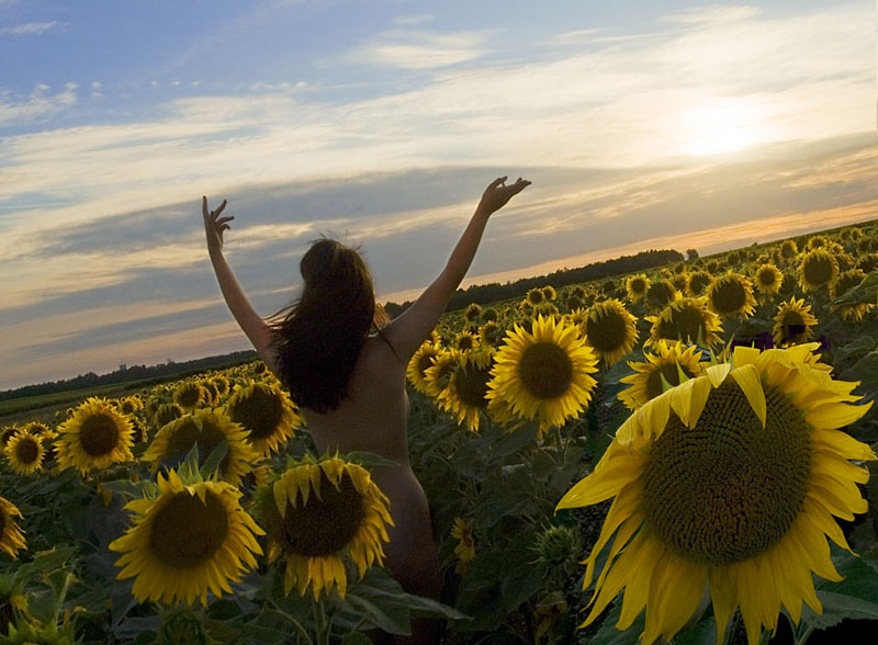 4844557jonathan charles