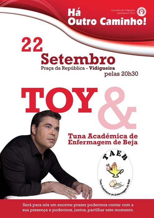 Toy