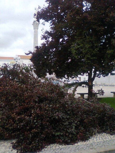 6jun2014 007largo do carmo2