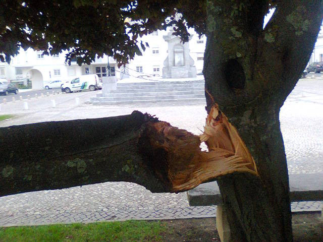 6jun2014 008largo do carmo1