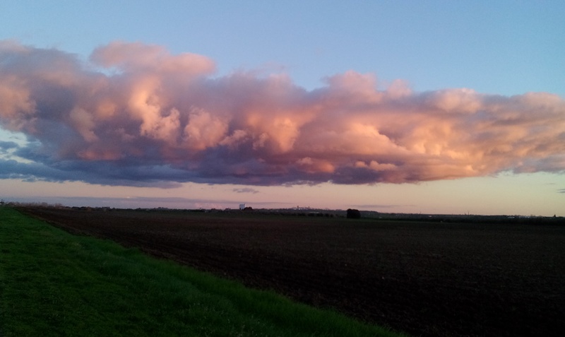 IMG_20160129_174656beja