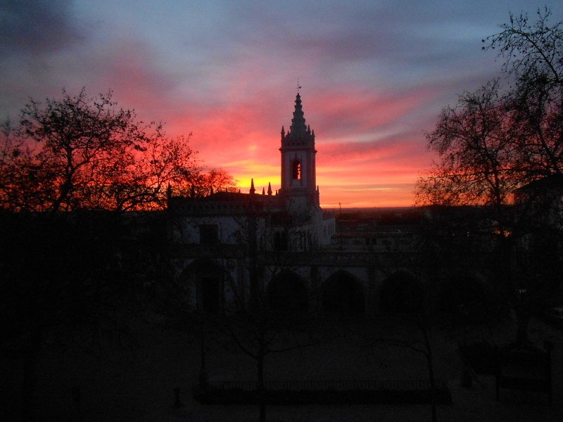 beja