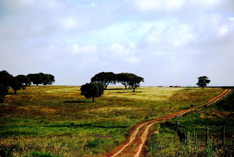 alentejoDSC_0520
