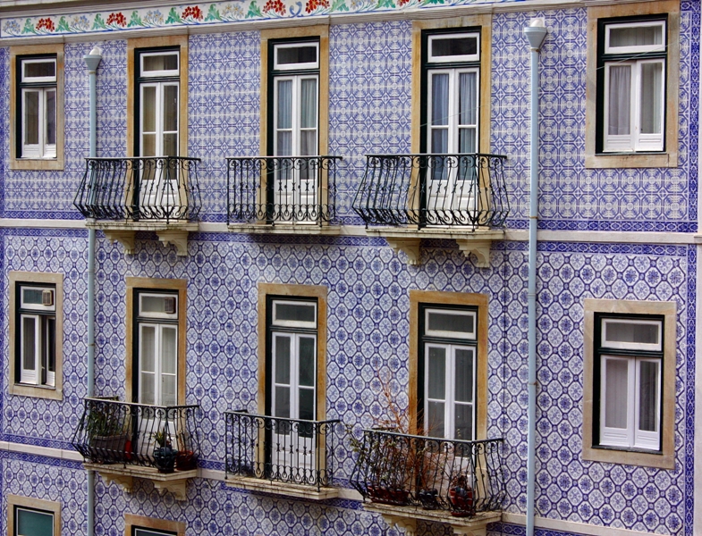 IMG_2900windows1a